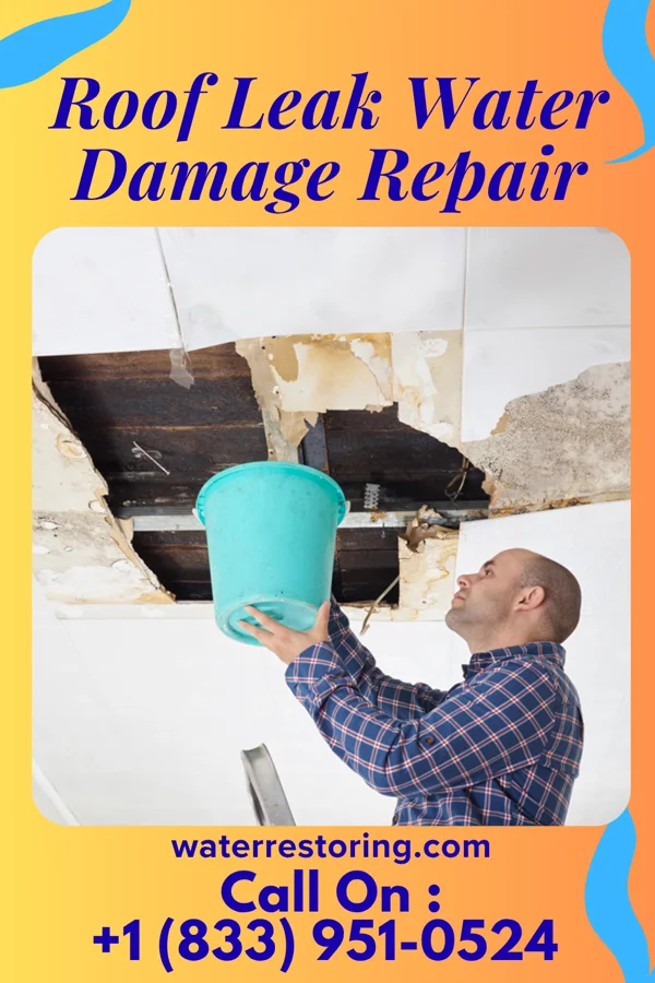 Roof Leak Water Damage Repair in Courtland, KS